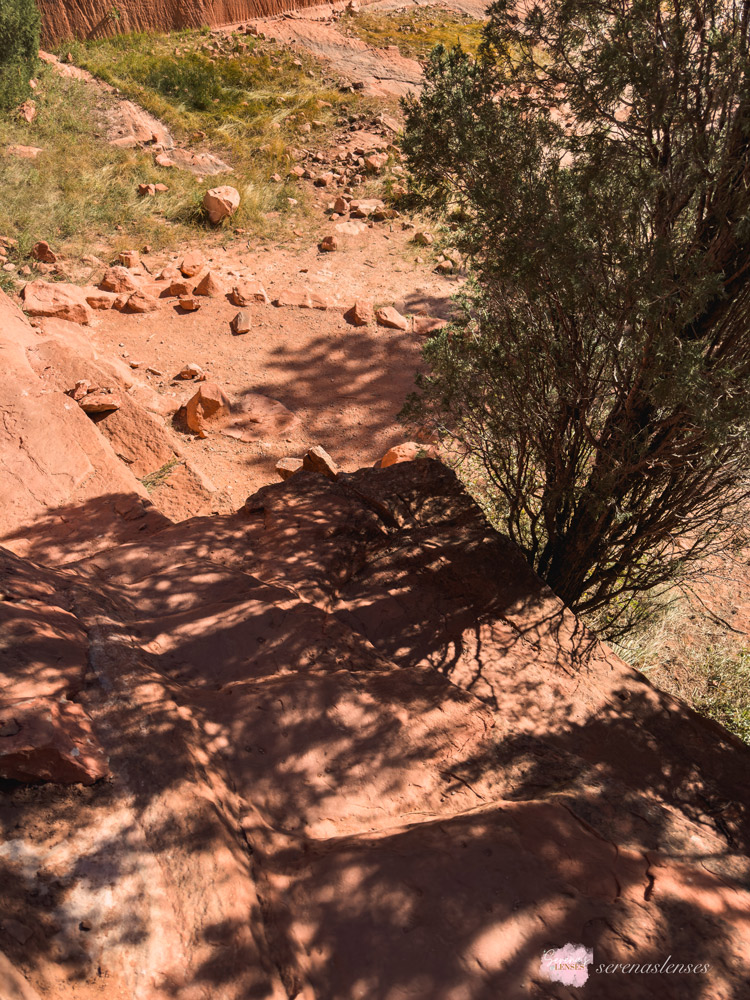 Hiking Mesa Trail in Colorado